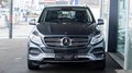 Daumennagel 2 - Mercedes-Benz GLE 250 d 4MATIC KAM SPUR TOT AHK SCHIEBEDACH