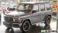 Daumennagel 1 - Mercedes-Benz G 400 d G63 UMBAU STERNENHIMMEL BURMESTER