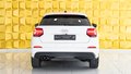 Daumennagel 6 - Audi Q2 35 TDI S LINE B&O ACC KAM STANDHEIZUNG