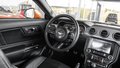 Daumennagel 31 - Ford Mustang GT 5.0 FASTBACK SCHALTER TWISTERORANGE