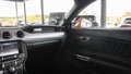 Daumennagel 21 - Ford Mustang GT 5.0 FASTBACK SCHALTER TWISTERORANGE