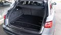 Daumennagel 6 - Audi A6 Avant 3.0 TDI QUATTRO COMPETITION KAM RS SITZE