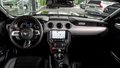 Thumbnail 18 - Ford Mustang 5.0l GT V8 SCHALTER ABGAS K&W