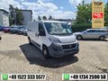 Thumbnail 1 - Fiat Ducato KASTEN 1.HAND AHK DREISITZER TÜV 07.2027