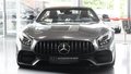 Daumennagel 4 - Mercedes-Benz AMG GT C ROADSTER ACC BURMEST KAM TOT OHNEOPF
