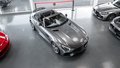 Daumennagel 47 - Mercedes-Benz AMG GT C ROADSTER ACC BURMEST KAM TOT OHNEOPF