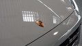 Daumennagel 57 - Porsche Cayenne S 100% VOLL