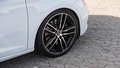 Daumennagel 35 - SEAT Leon Cupra 300 4Drive PANO BEATS ACC 1.Hd