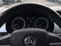 Daumennagel 19 - Skoda Fabia Combi Edition/AUTOMATIK/1.HAND/XENON/EURO6