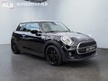 Daumennagel 7 - MINI Mini 3-trg. One/TEMPOMAT/KLIMA/SHZ/1.HAND/