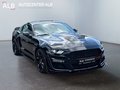 Daumennagel 7 - Ford Mustang GT 500 ACC/LED/KAM/NAVI/SHZ/