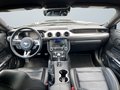Daumennagel 17 - Ford Mustang GT 500 ACC/LED/KAM/NAVI/SHZ/