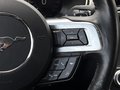 Daumennagel 20 - Ford Mustang GT 500 ACC/LED/KAM/NAVI/SHZ/