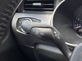 Daumennagel 21 - Ford Mustang GT 500 ACC/LED/KAM/NAVI/SHZ/