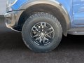 Daumennagel 10 - Ford Ranger Raptor 4x4/AUTOMATIK/BI-XENON/AHK/NAVI/