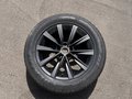 Daumennagel 30 - Volkswagen Tiguan Life 4Motion/AUTOMATIK/AHK/PANO/TOP/