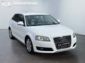 Daumennagel 7 - Audi A3 Sportback 2.0 TDI/XENON/LEDER/MMI/TEMPOMAT/