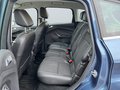 Daumennagel 10 - Ford C-MAX/NAVI/AHK/NAVI/KAMERA/VOLL/SHZ/