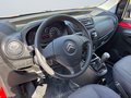 Daumennagel 15 - Citroën Nemo Niveau B Kasten/EURO5/DIESEL/HU NEU/EFH/