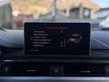 Daumennagel 21 - Audi S4 Avant 3.0 TFSI quattro/ACC/VIRTUAL/HEAD-UP/LED/