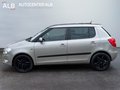 Daumennagel 2 - Skoda Fabia/AUTOMATIK/1.HAND/SHZ/AHK/TOP/