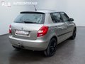 Daumennagel 5 - Skoda Fabia/AUTOMATIK/1.HAND/SHZ/AHK/TOP/