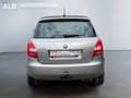 Daumennagel 4 - Skoda Fabia/AUTOMATIK/1.HAND/SHZ/AHK/TOP/