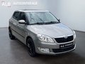 Daumennagel 7 - Skoda Fabia/AUTOMATIK/1.HAND/SHZ/AHK/TOP/