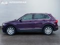 Daumennagel 2 - Volkswagen Tiguan Sound/ACC/360°KAM/1.HAND/PANO/AHK/LED/TOP/
