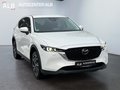 Daumennagel 7 - Mazda CX-5 Exclusive-Line AWD/TEMPOMAT/NAVI/SPUR/TOP/