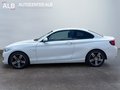 Daumennagel 2 - BMW 220 d Sport Line/AUTOMATIK/M-SPORT/NAVI/XENON/