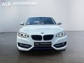 Daumennagel 8 - BMW 220 d Sport Line/AUTOMATIK/M-SPORT/NAVI/XENON/