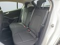 Daumennagel 10 - Ford Focus Titanium/KLIMA/1.HAND/NAVI/SHZ/