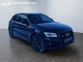 Daumennagel 7 - Audi SQ5 3.0 TDI Quattro/S-LINE/ACC/B&O/PANO/2.HAND/VOLL/