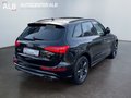 Daumennagel 5 - Audi SQ5 3.0 TDI Quattro/S-LINE/ACC/B&O/PANO/2.HAND/VOLL/