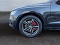 Daumennagel 9 - Audi SQ5 3.0 TDI Quattro/S-LINE/ACC/B&O/PANO/2.HAND/VOLL/