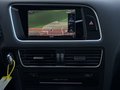 Daumennagel 19 - Audi SQ5 3.0 TDI Quattro/S-LINE/ACC/B&O/PANO/2.HAND/VOLL/