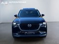 Daumennagel 8 - Mazda CX-60 Exclusive 2WD/HEAD-UP/NAVI/PANO/360°KAMERA/