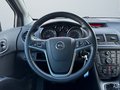 Daumennagel 14 - Opel Meriva B Color Edition/XENON/AHK/TEMPOMAT/EURO5/