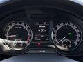 Daumennagel 20 - Skoda Octavia Combi Ambition 4x4/AUTOMATIK/KLIMA/AHK/