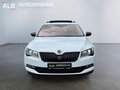 Daumennagel 8 - Skoda Superb Combi Style 4x4 206KW/AUTOMATIK/PANO/XENON/LEDER/