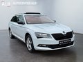 Daumennagel 7 - Skoda Superb Combi Style 4x4 206KW/AUTOMATIK/PANO/XENON/LEDER/