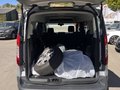 Daumennagel 5 - Ford Grand Tourneo Connect/AUTOMATIK/KAMERA/KLIMA/
