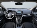 Daumennagel 14 - Ford Kuga Cool & Connect/NAVI/KAMERA/BI-XENON/TOP