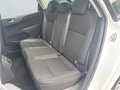 Daumennagel 10 - Citroën C4 Tendance/KLIMA/EURO6/TEMPOMAT/TOP/LED/