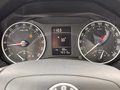 Daumennagel 16 - Skoda Octavia Combi Active/EURO.5/AHK/TOP/