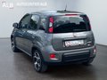 Daumennagel 3 - Fiat Panda Sport/Hybrid.Benzin/KLIMA/SHZ/1.HAND/TOP