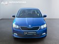 Daumennagel 8 - Skoda Fabia Ambition/TEMPOMAT/AUTOMATIK/TÜV/TOP/