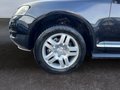 Daumennagel 9 - Volkswagen Touareg V6 TDI/AUTOMATIK/NAVI/XENON/VOLL/