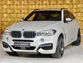 Daumennagel 1 - BMW X6 M50 d/AUTOMATIK/AHK/ACC/4X4/VOLL/EURO 6/